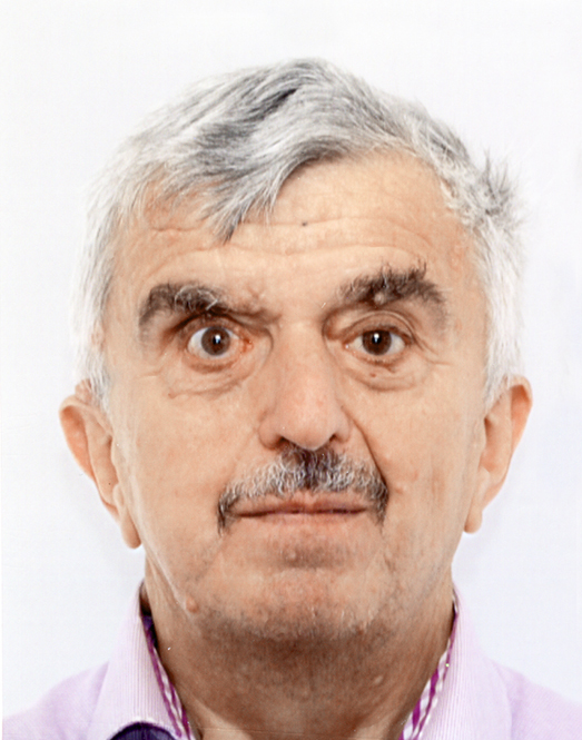 Parte Franz Luger