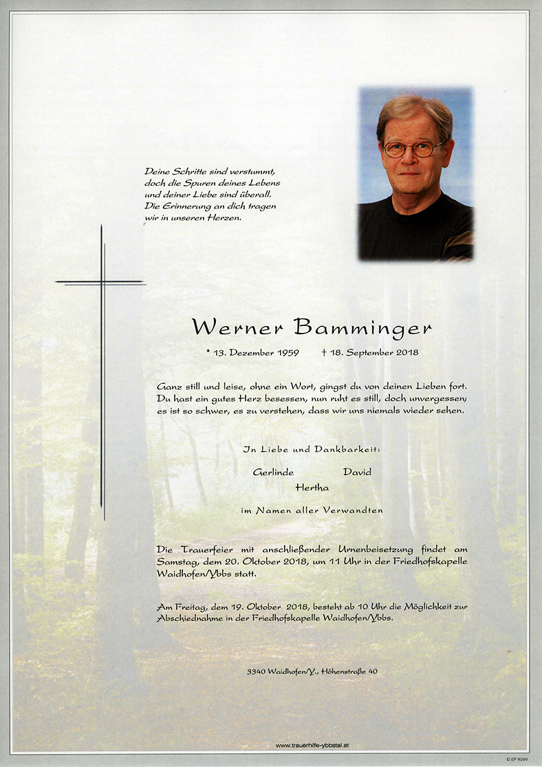 Parte Werner Bamminger